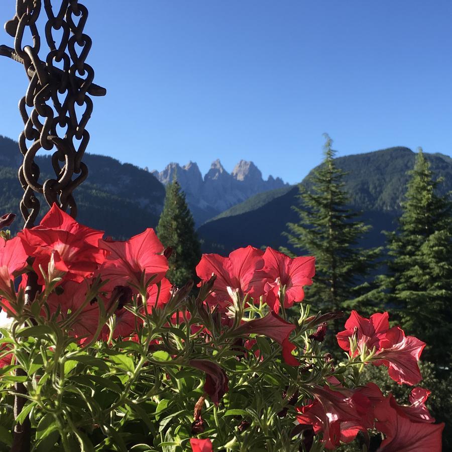 B&B Rossodisera Domegge di Cadore Zewnętrze zdjęcie